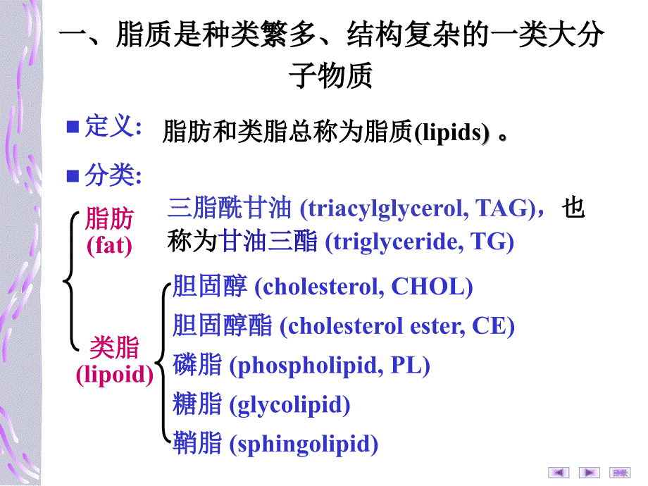 生物化学与分子生物学：第七章脂质代谢（临床7节）_第4页