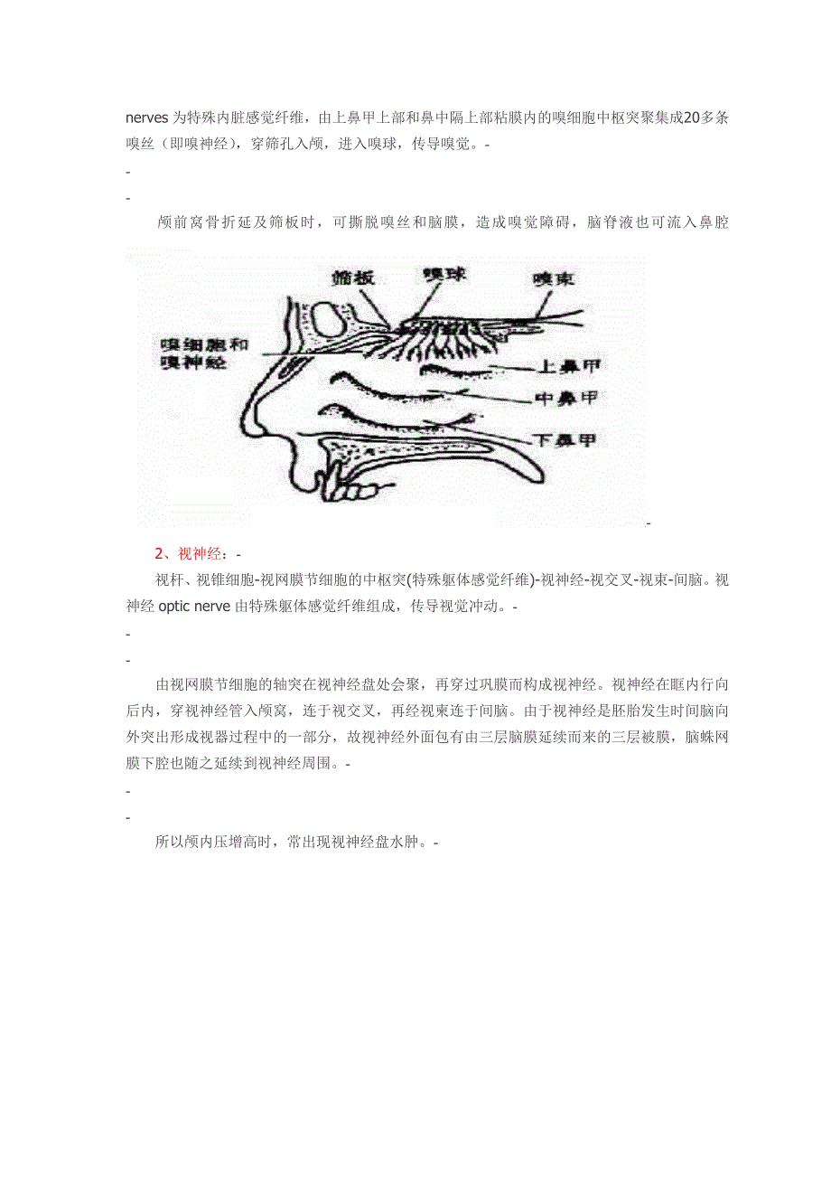 十二对脑神经附图_第2页