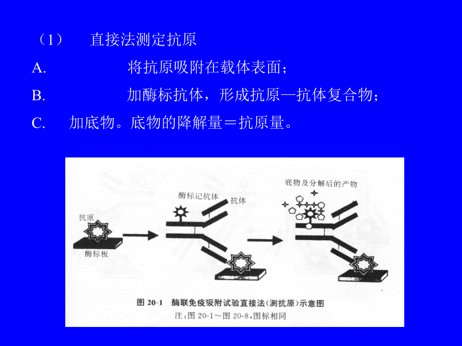 一教学要求实验八酶联免疫吸附试验ELISA_第3页