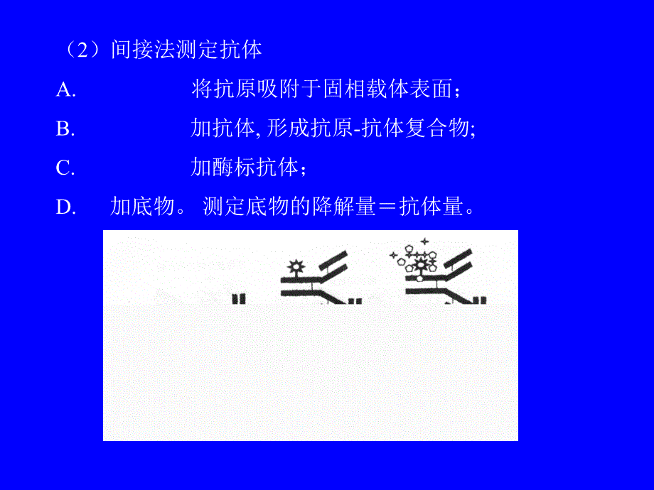 一教学要求实验八酶联免疫吸附试验ELISA_第4页