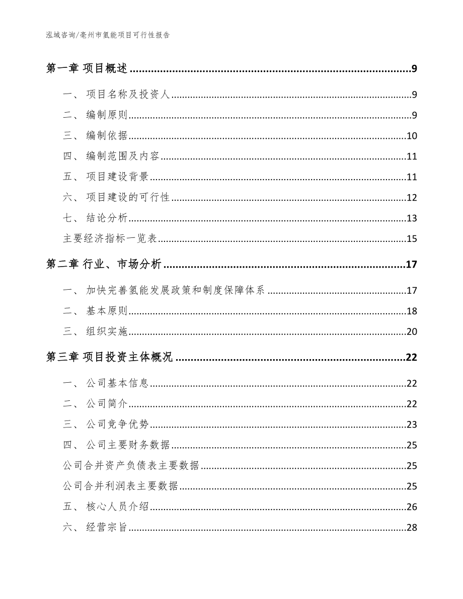 亳州市氢能项目可行性报告（模板范本）_第3页