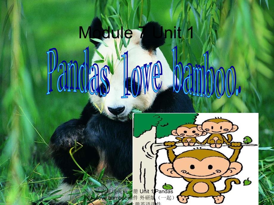 最新六年级英语上册Unit1Pandaslovebamboo课件_第1页