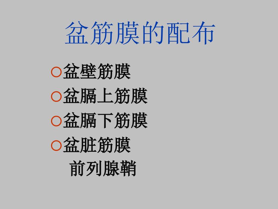 局部解剖学盆筋膜会阴_第4页