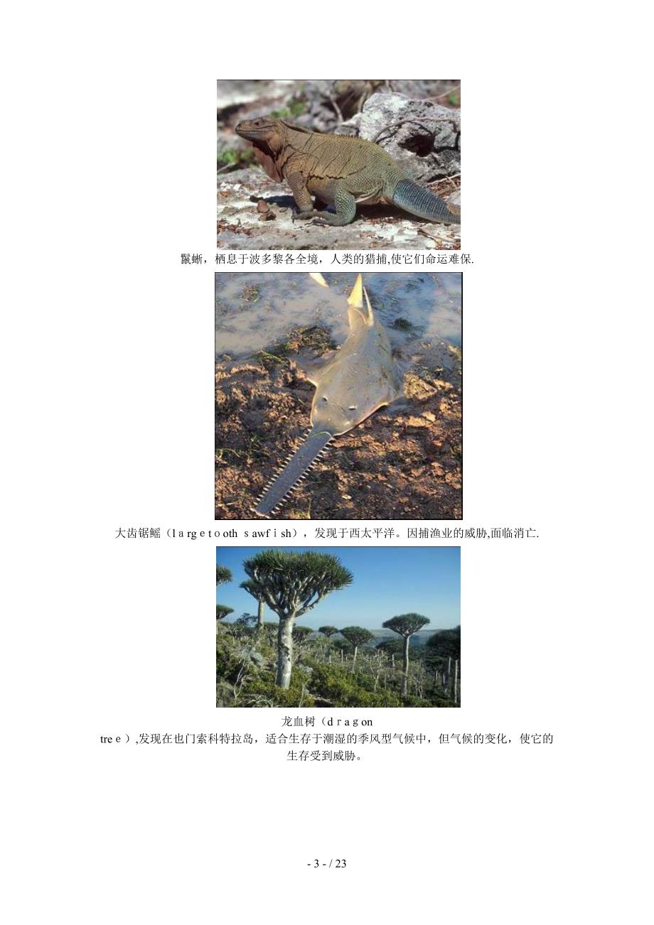 已灭绝的生物和未来生物_第3页