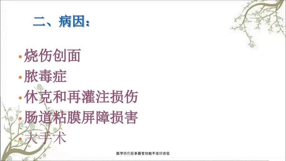 医学烧伤后多器官功能不全综合征_第5页