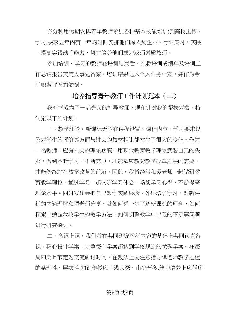 培养指导青年教师工作计划范本（2篇）.doc_第5页