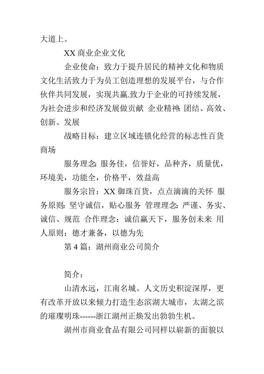 商业管理公司简介_第5页