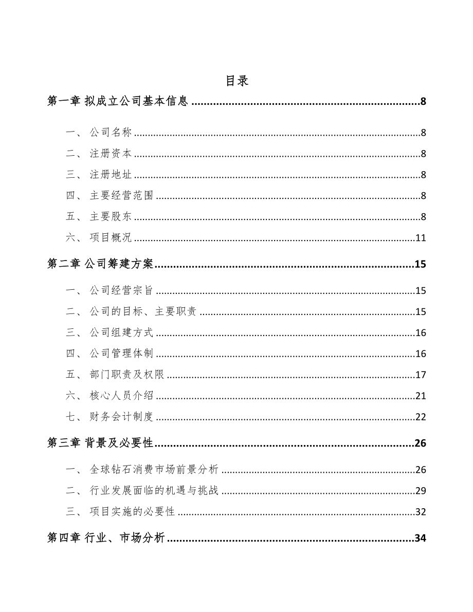 苏州关于成立金刚石公司可行性研究报告(DOC 104页)_第2页