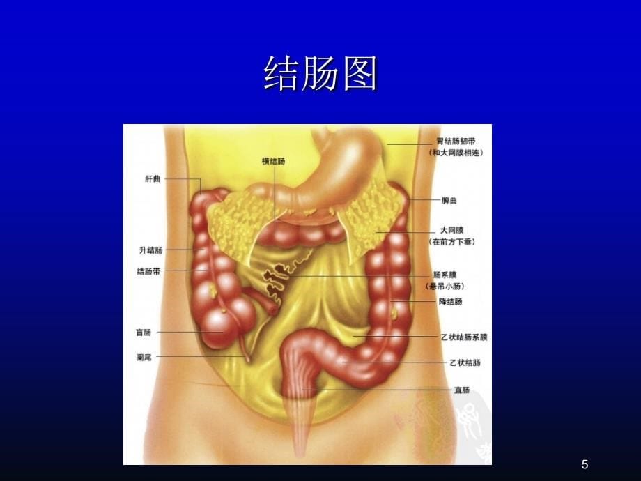 消化内镜诊疗进展ppt课件_第5页