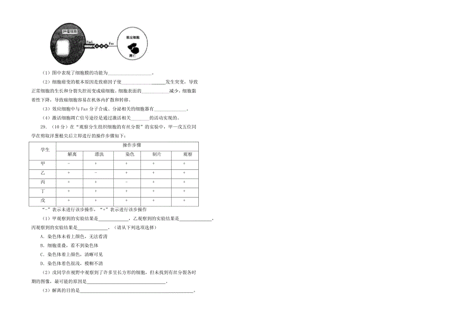 2022高中生物 第六单元 细胞的生命历程单元测试（二）新人教版必修1_第4页