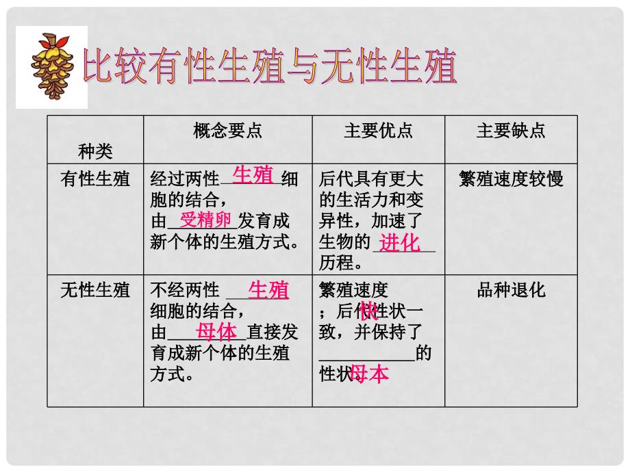 湖北省黄冈市九年级生物中考复习学案 生物的生殖和发育 课件_第4页