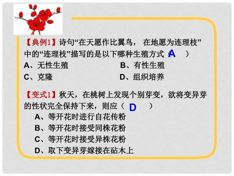 湖北省黄冈市九年级生物中考复习学案 生物的生殖和发育 课件_第5页