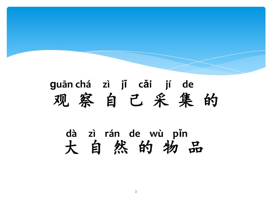 一年级科学第二单元第一课大自然中的发现教学课件_第2页