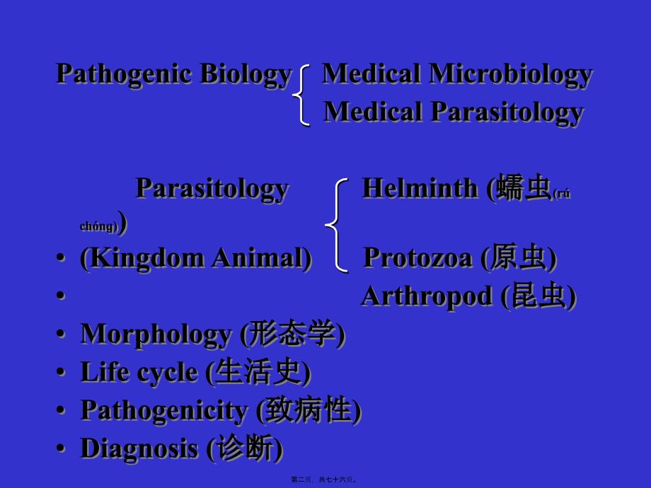 医学专题—最常见的线虫成虫寄生于小肠_第2页