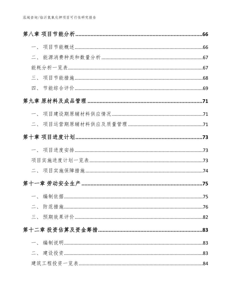 临沂氢氧化钾项目可行性研究报告模板_第3页