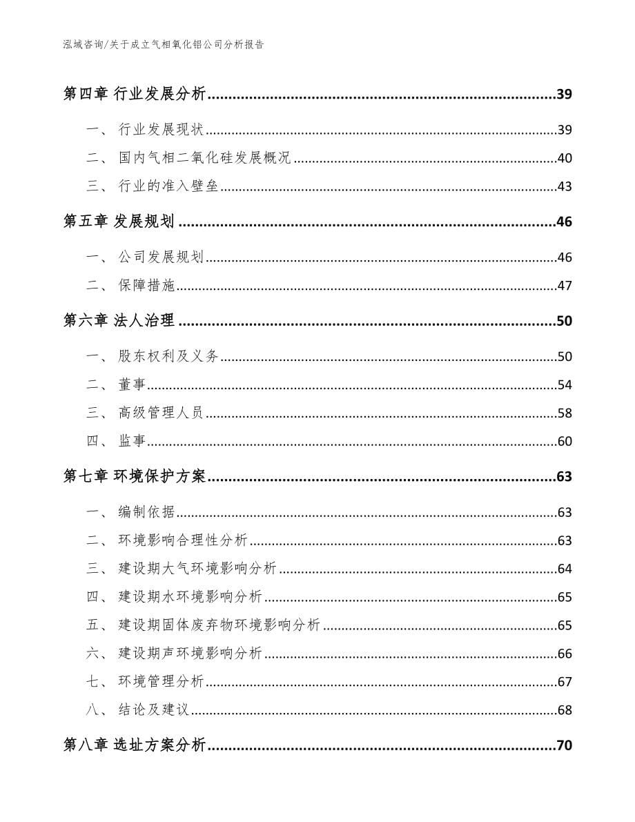 关于成立气相氧化铝公司分析报告【模板参考】_第5页