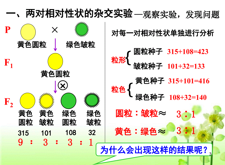 孟德尔的豌豆杂交实验二课件_第3页