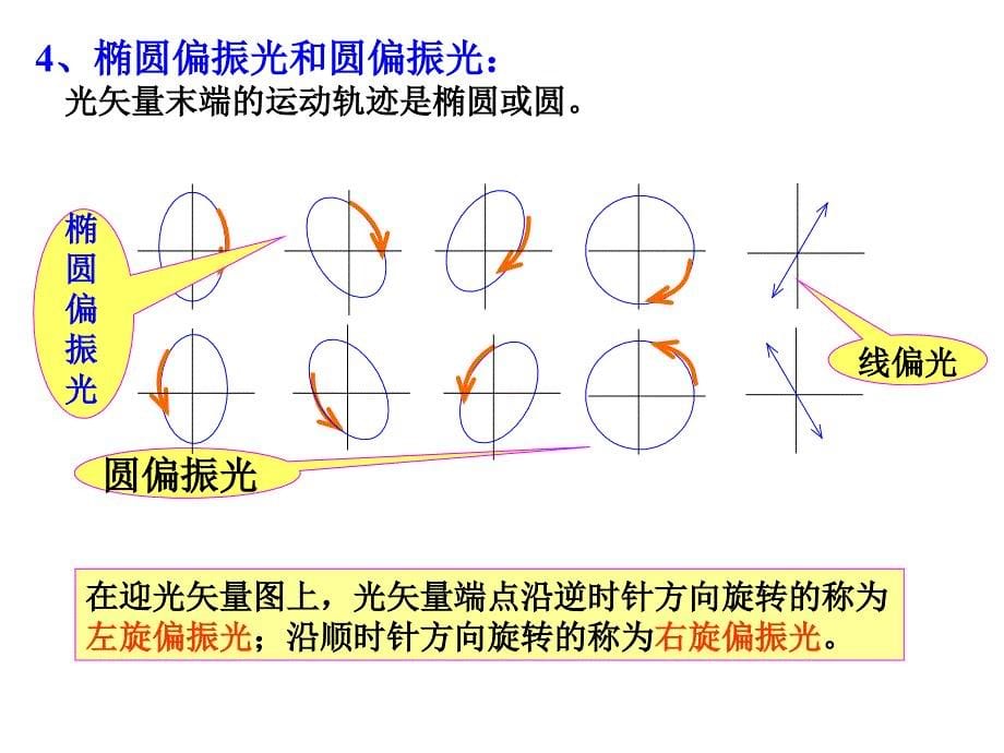 大学物理：光的偏振_第5页