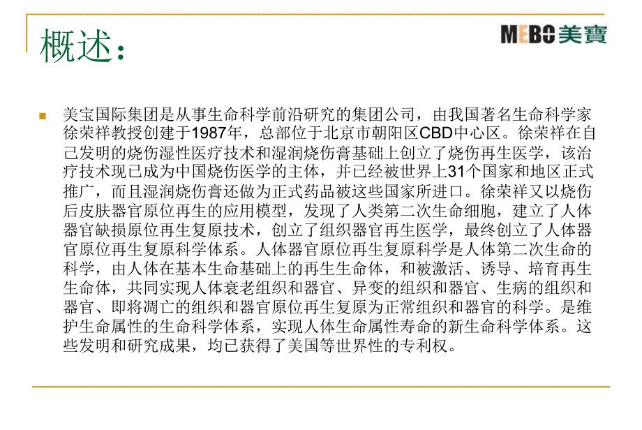 美宝集团介绍_第3页