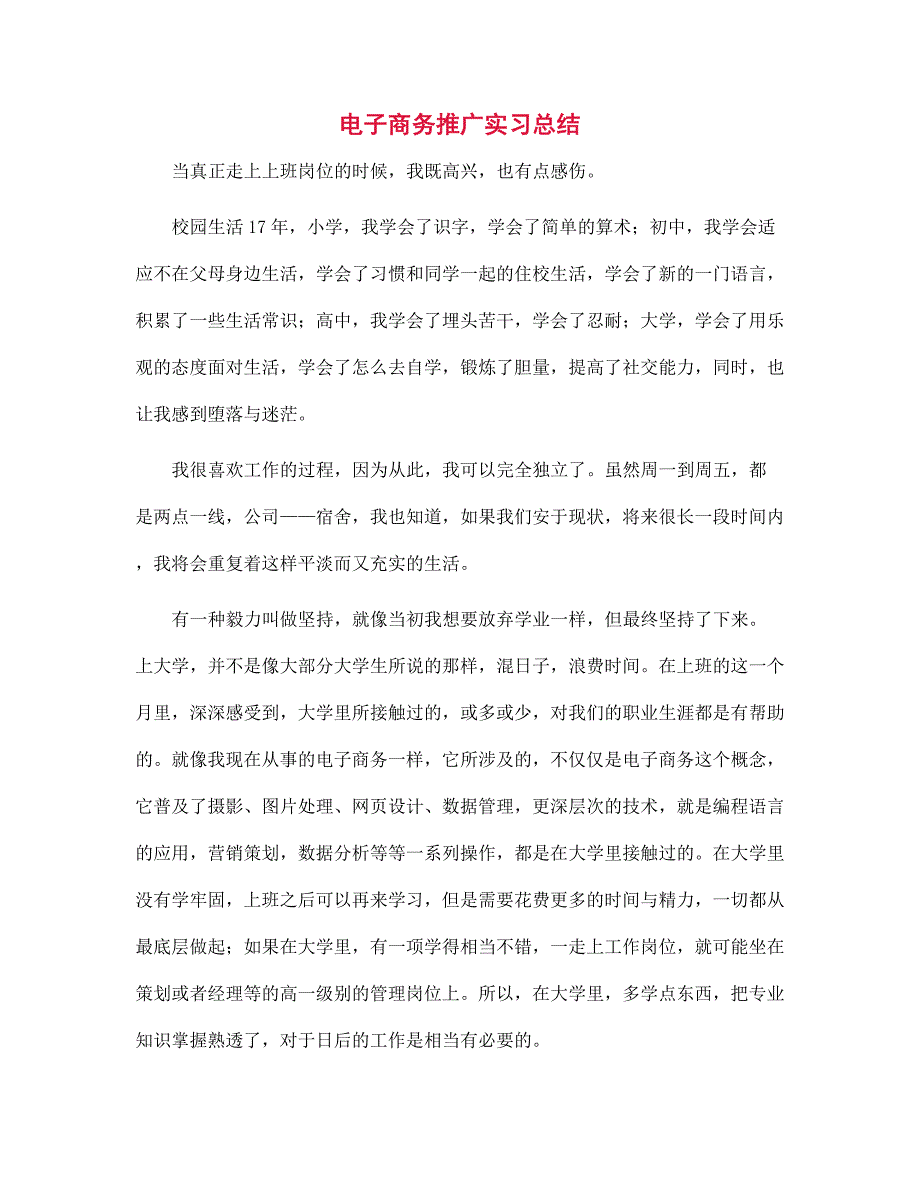 2022年电子商务推广实习总结范文_第1页