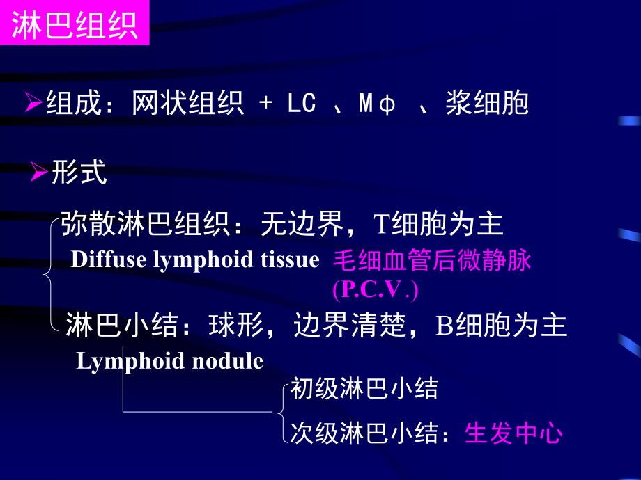 免疫系统组织胚胎学教学课件_第3页