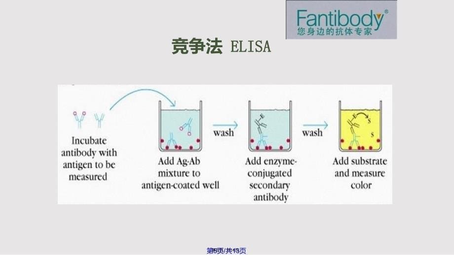 ELISA实验原理方法仪器流程图和注意事项分析实用教案_第5页