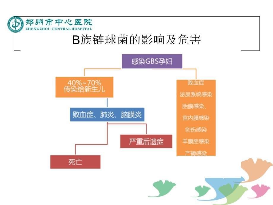 B族链球菌孕期筛查_第5页