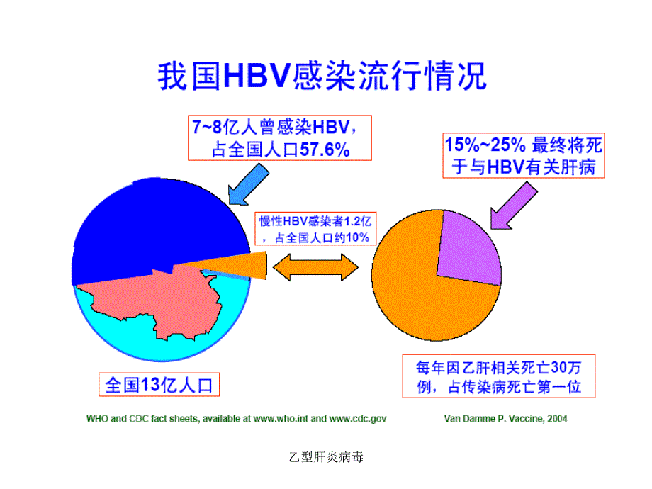 最新乙型肝炎病毒_第3页