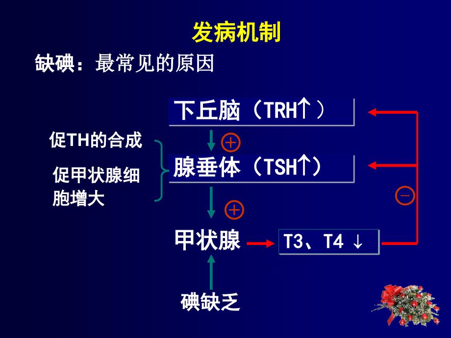 甲状腺疾病内科护理临床部分ppt课件.ppt_第4页