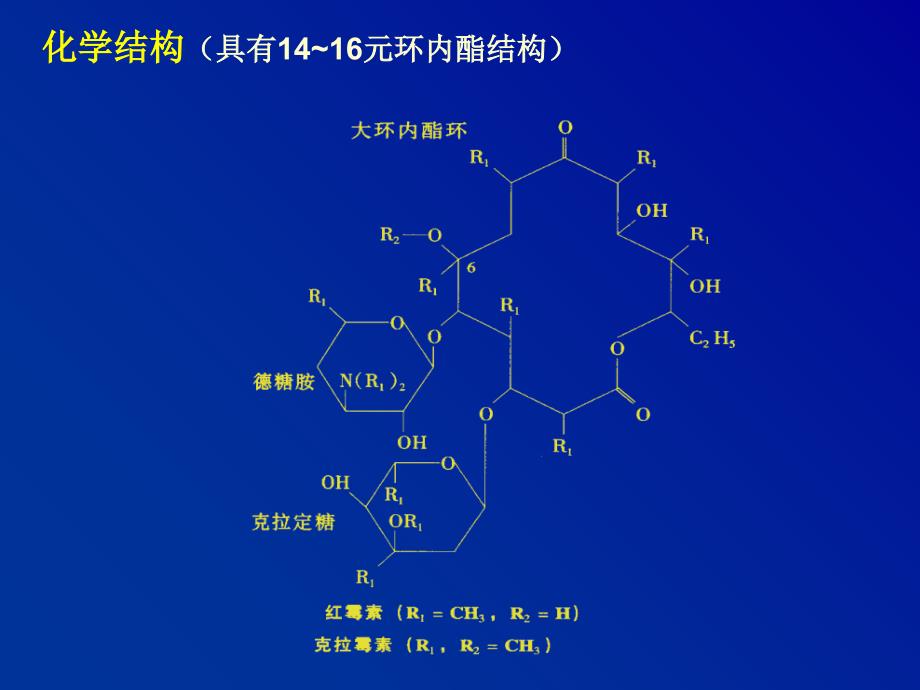 林可霉素类大环内酯类课件_第4页