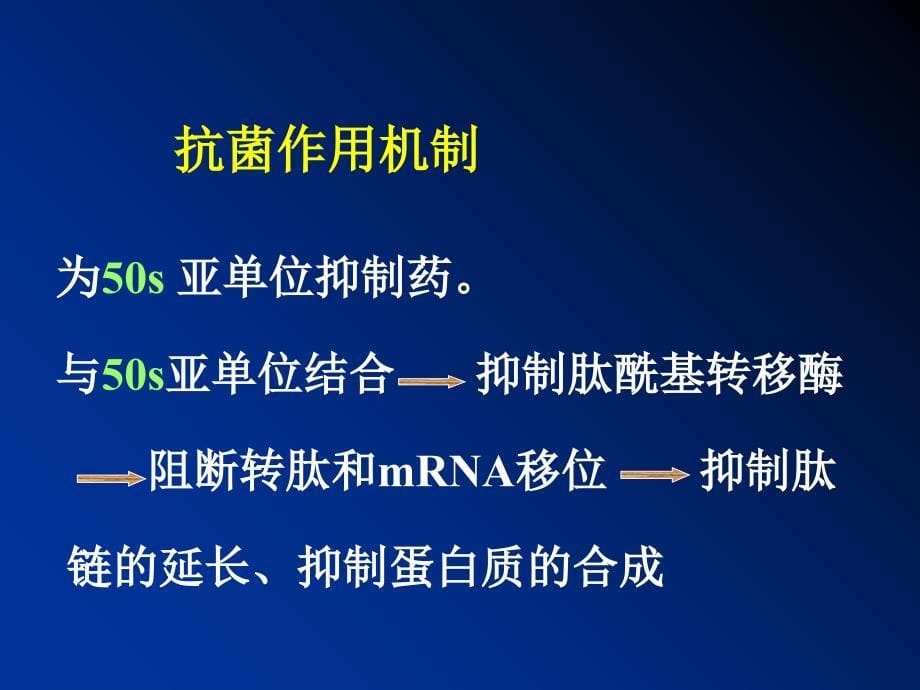 林可霉素类大环内酯类课件_第5页