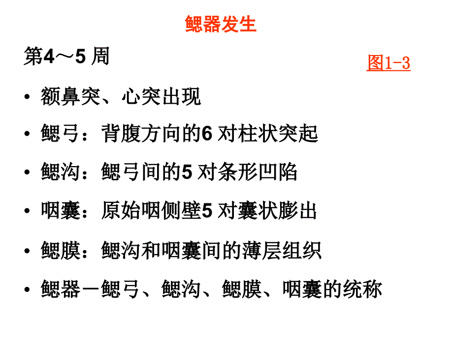 组织学与胚胎学第22章颜面和四肢的发生_第2页