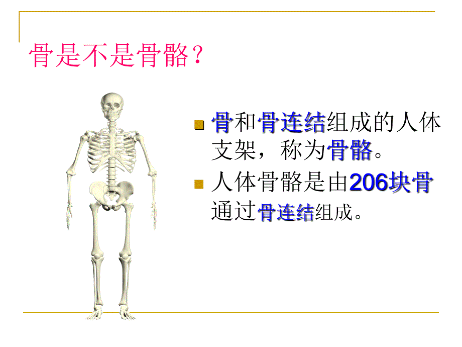 3.5人的运动系统和保健_第3页