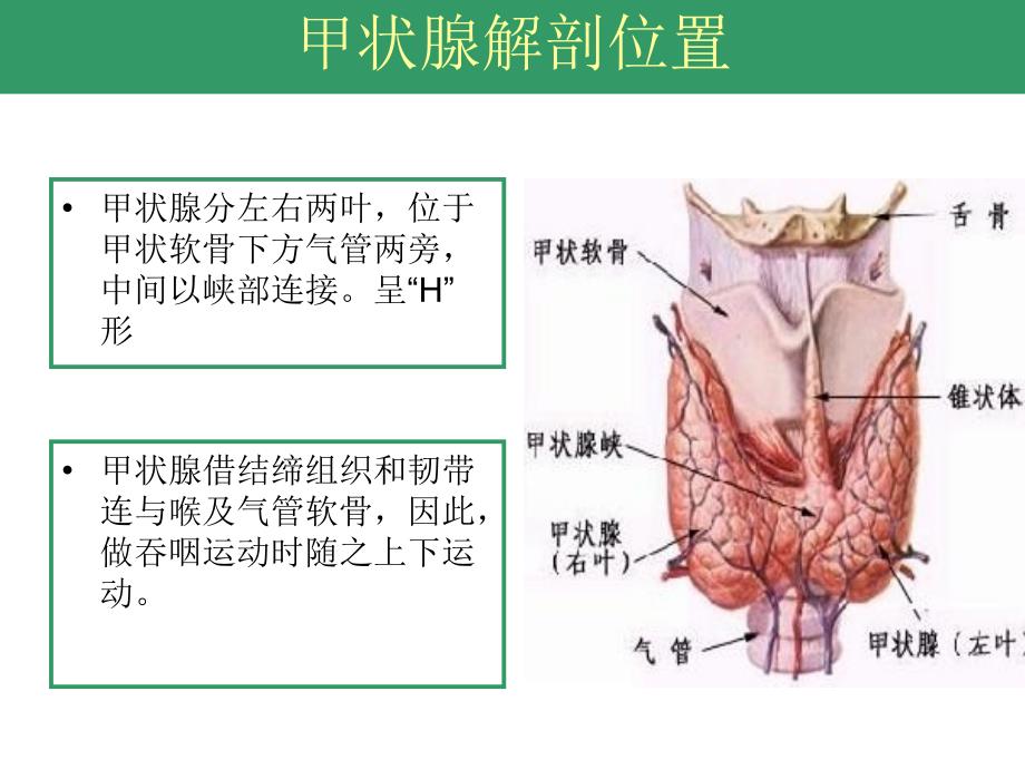 甲状腺手术配合全解_第3页