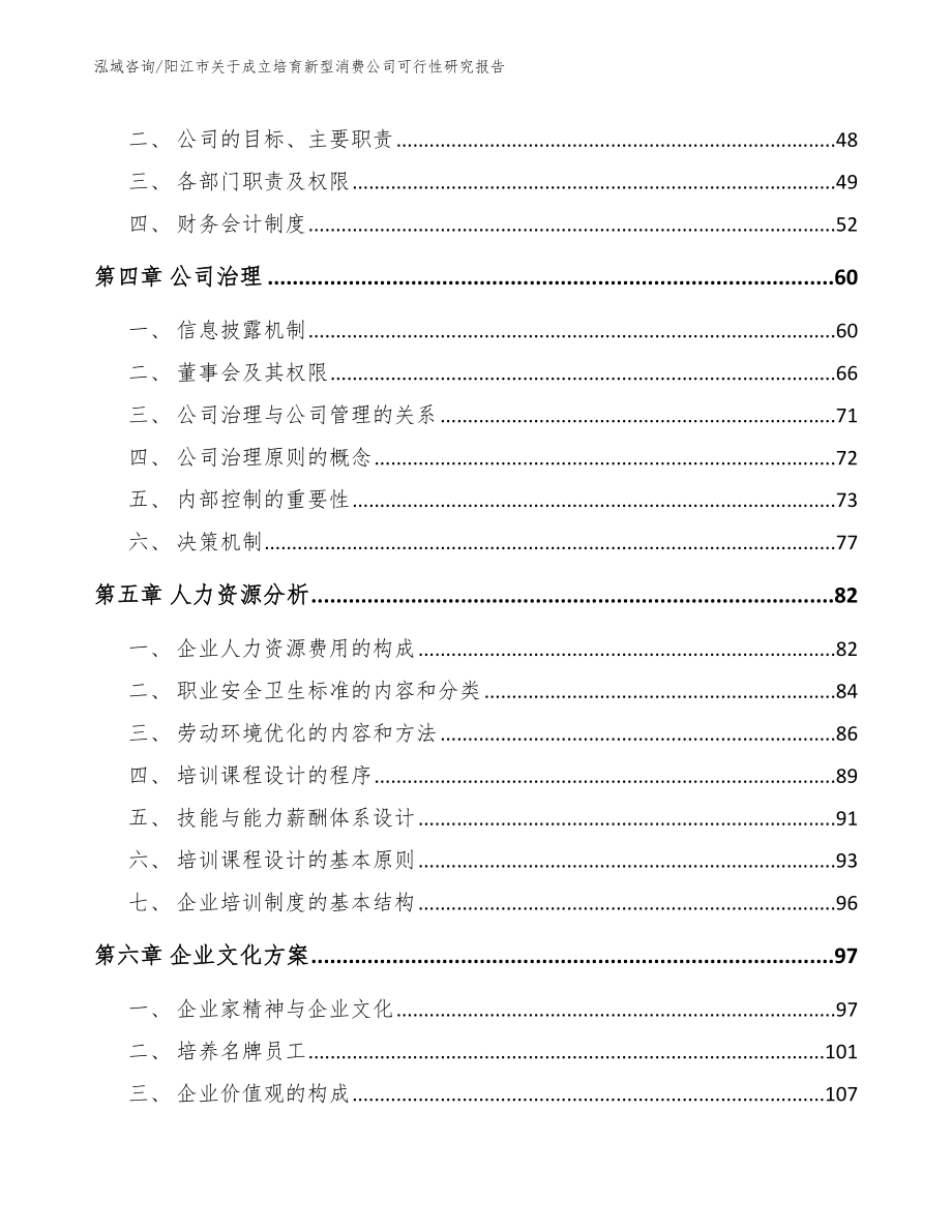 阳江市关于成立培育新型消费公司可行性研究报告_第4页