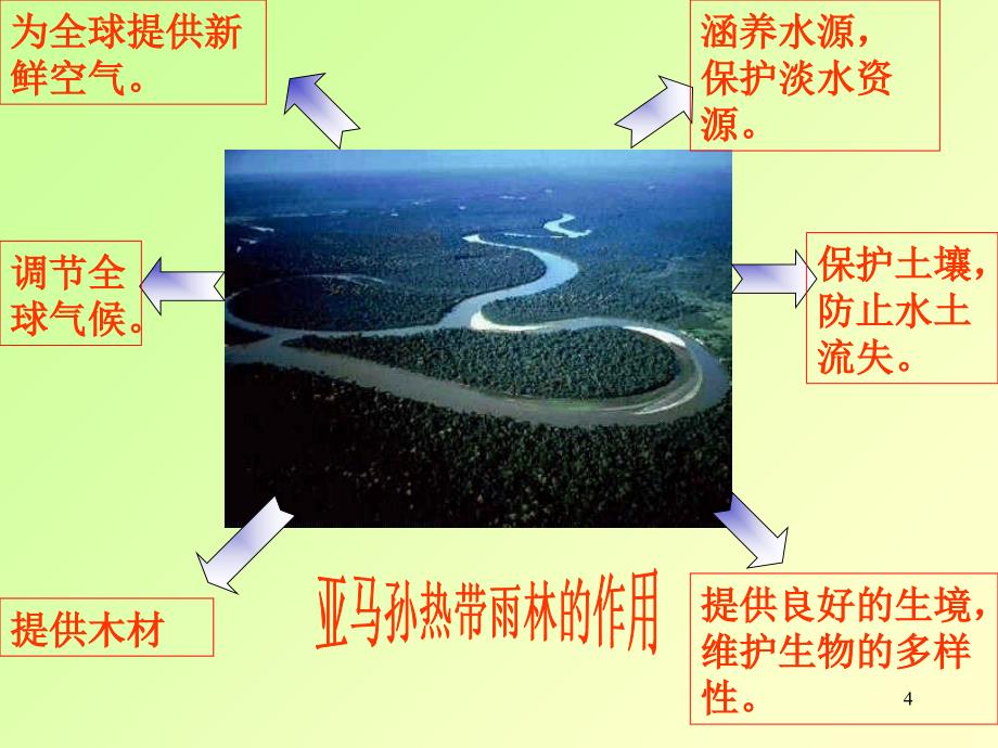 人教版新目标地理七年级下册第九章第二节巴西第二课时课件_第4页