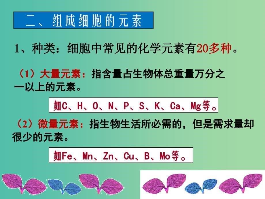 山西省晋城市高中生物 第二章 组成细胞的分子 2.1 细胞中的元素和化合物课件 新人教版必修1.ppt_第5页