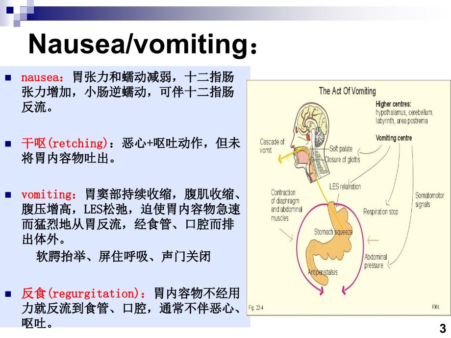 医学专题：恶心-呕吐-腹痛-腹泻-黄疸_第3页