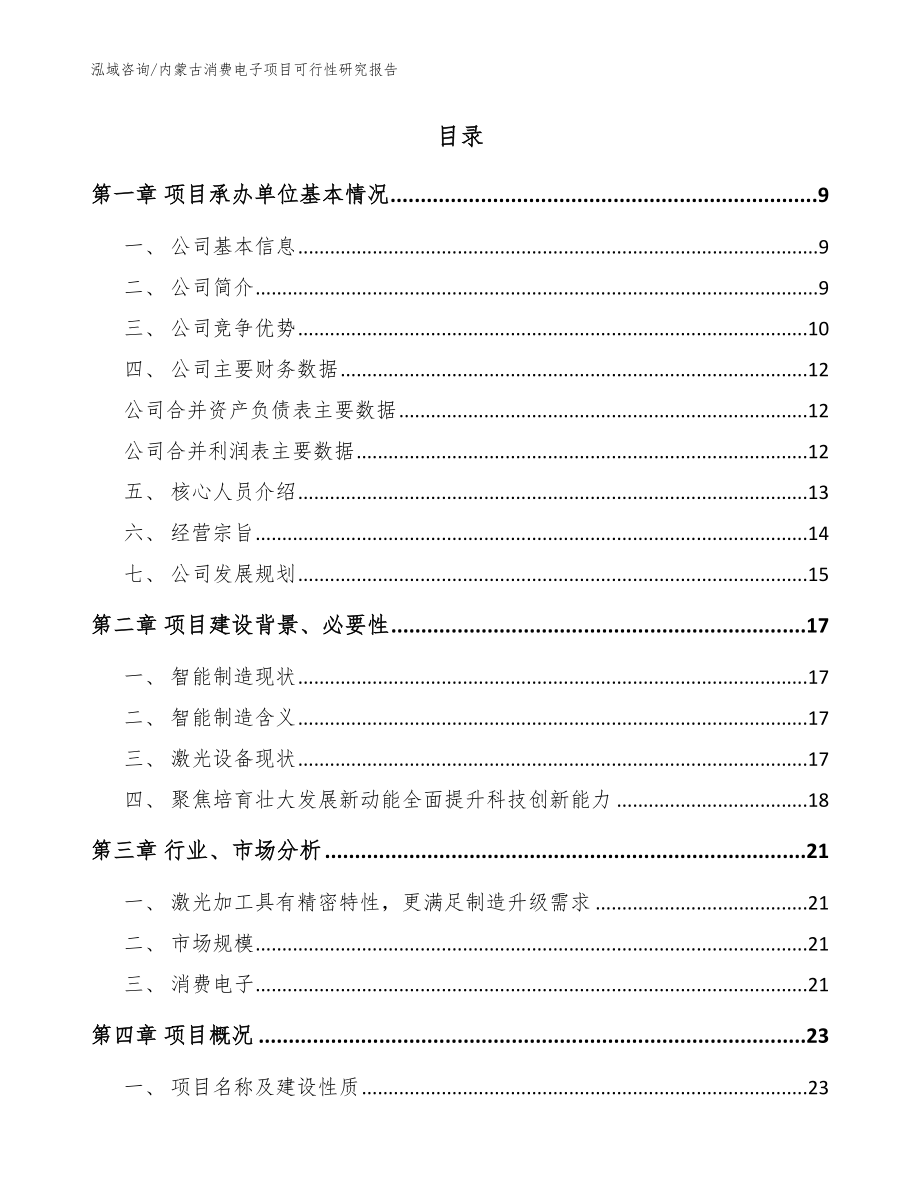 内蒙古消费电子项目可行性研究报告_模板范文_第2页