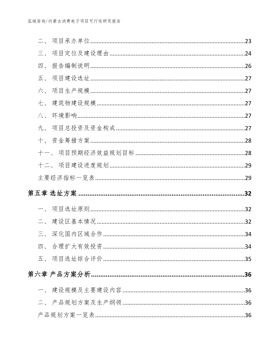 内蒙古消费电子项目可行性研究报告_模板范文_第3页