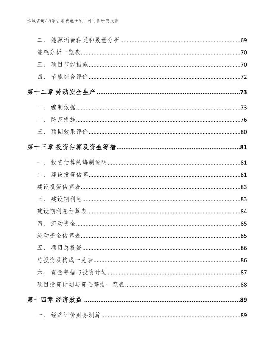 内蒙古消费电子项目可行性研究报告_模板范文_第5页