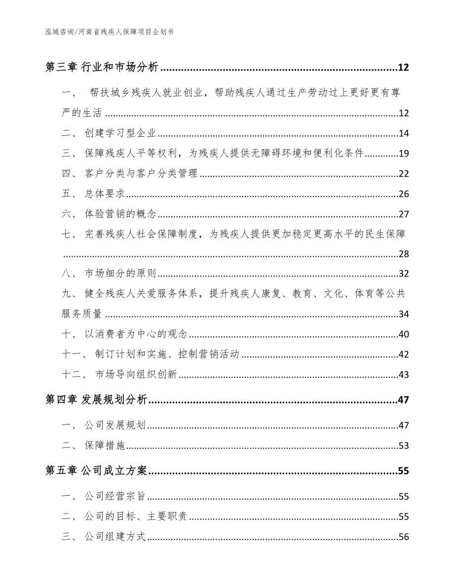 河南省残疾人保障项目企划书_第4页