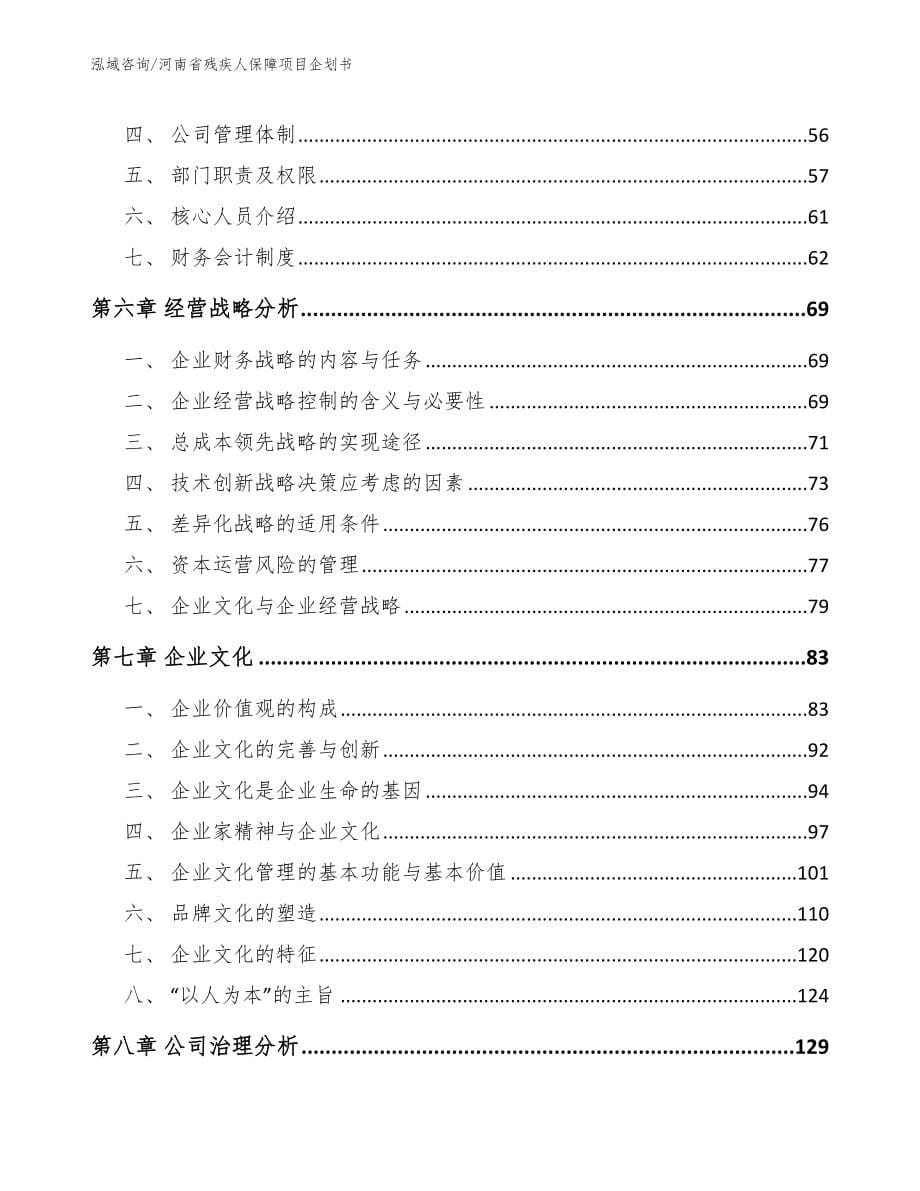 河南省残疾人保障项目企划书_第5页