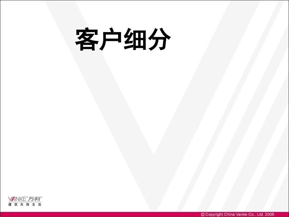 万科房地产市场研究工具之客户细分和七对眼_第5页