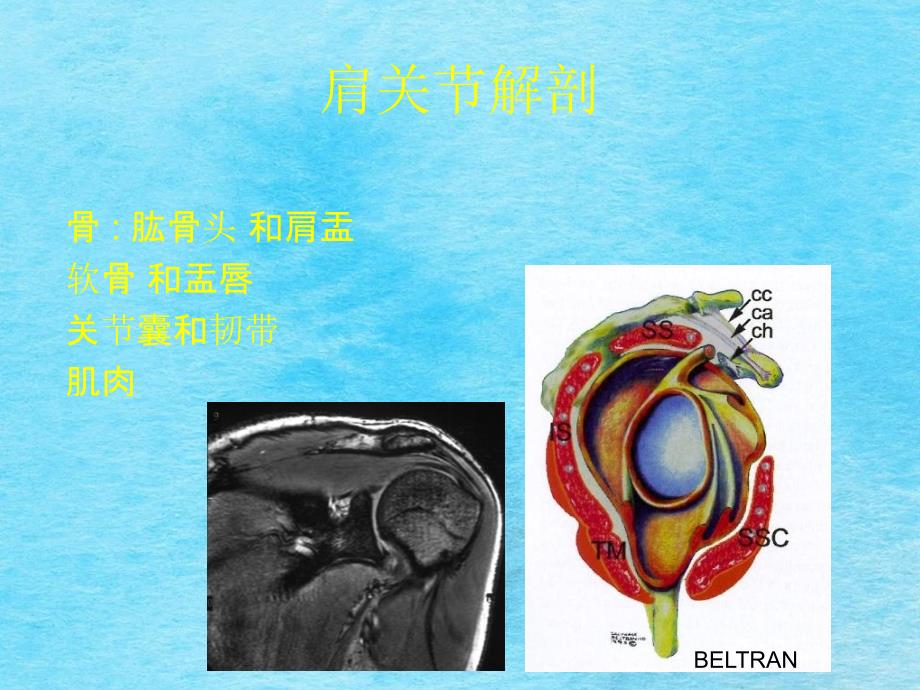 肩关节不稳定和肩袖损伤ppt课件_第4页