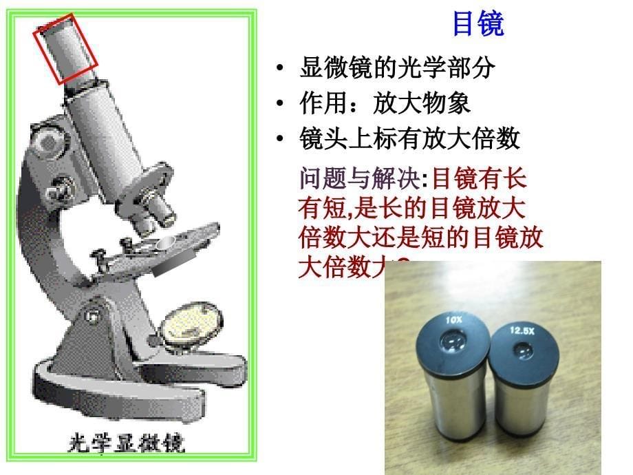 22-细胞(第二课时)-课件(浙教版七年级上)_第5页