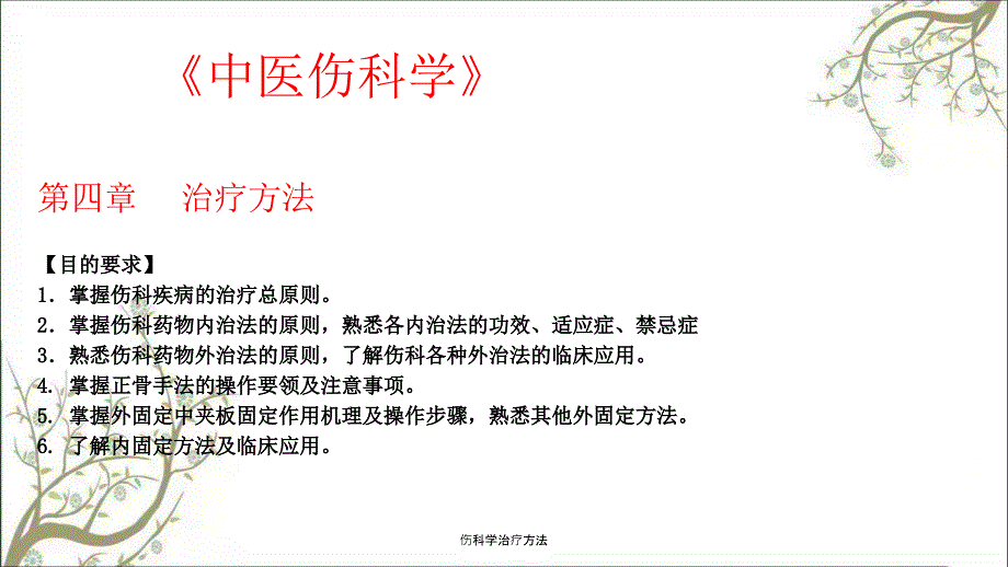 伤科学治疗方法课件_第2页