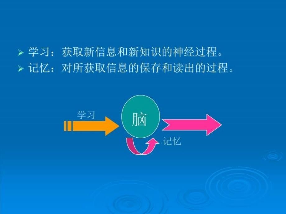 最新学习和记忆-郑州大学PPT课件_第3页