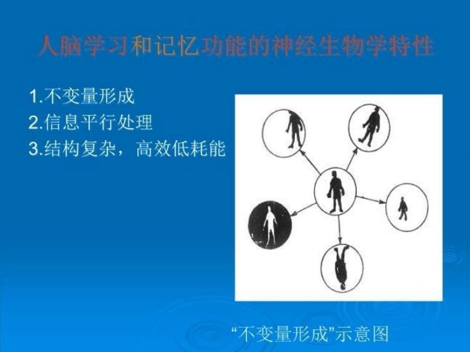 最新学习和记忆-郑州大学PPT课件_第5页