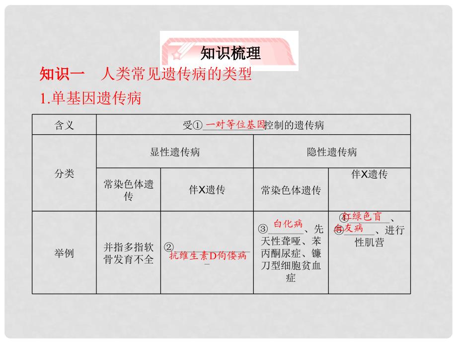 高考生物总复习 5.3《人类遗传病》知识研习课件 新人教版必修2_第3页